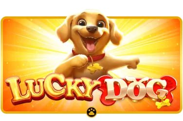 nw888